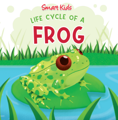 Picture of SMART KIDS LIFE CYCLE OF A FROG