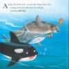 Picture of SQUARE PAPERBACK ME AND MY FEELINGS-WHEN WHALE WON'T WAIT